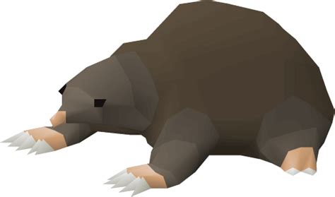 Please log in or register to have full access to the site. Easiest Pets To Get On OSRS | Probemas