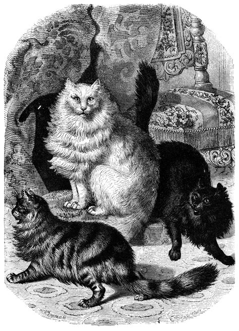 Vintage Ephemera Engraved Illustration House Cats 1885
