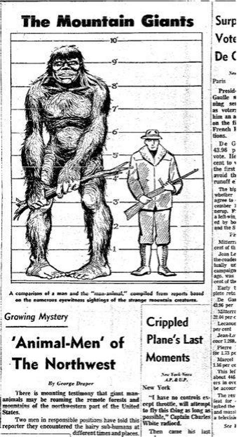 Beyond Bigfoot Rediscovering 60 Years Of Sasquatch Stories