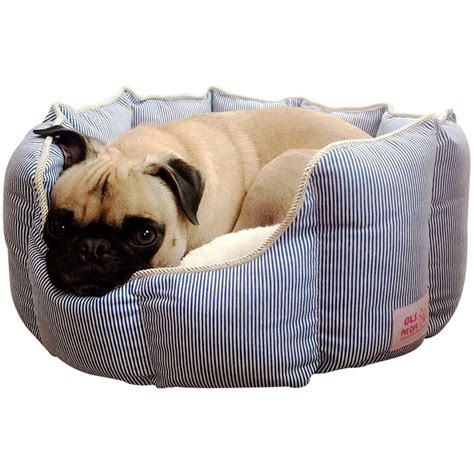 10 Best Dog Beds For Small Dogs Petstachio Answering Pet Questions