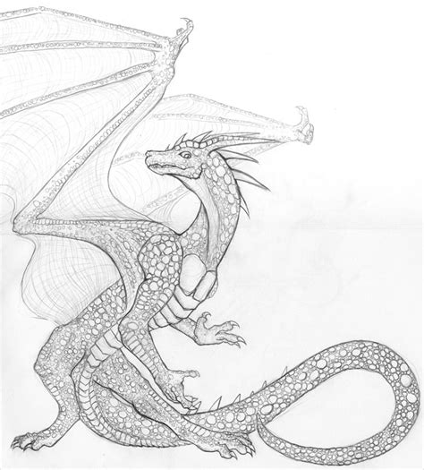 Scaly Dragon By Stepharuka On Deviantart