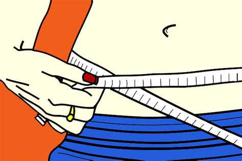 Cos è e come si calcola l indice di massa corporea BMI Calcolo online