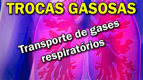 As Trocas Gasosas No Pulmão Humano Em Condições Normais Ocorrem