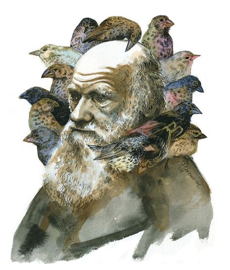 Charles Darwin Avec Portrait De Pinsons Impression En Par Jbarnum