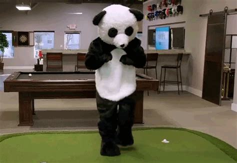 Dancing Panda S Get The Best  On Giphy