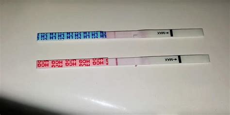 When Can You Use An Ovulation Test As A Pregnancy Test Pregnancy Test Kit