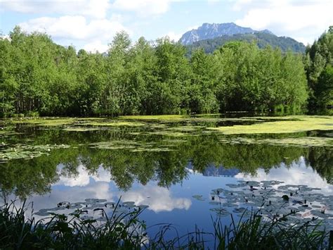 Unsere top 10 der beliebtesten sehenswürdigkeiten deutschlands haben wir im folgenden für sie aufgelistet. Krottensee (Gmunden) - Aktuelle 2021 - Lohnt es sich? (Mit ...