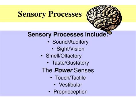 Ppt Sensory Processing 101 Implications Of Sensory Challenges In Asd