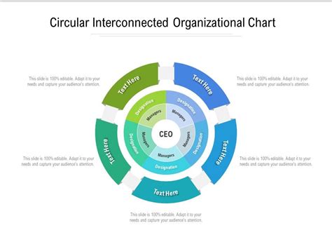 Free Circular Organizational Chart Template Free Printable Templates