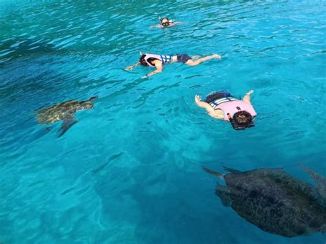 Pelbagai aktiviti yang boleh anda lakukan disini seperti snorkeling, melihat sunset yang pasti akan membuatkan anda teruja. Trip ke Pulau Redang 3H2M | Blog Pakej.MY