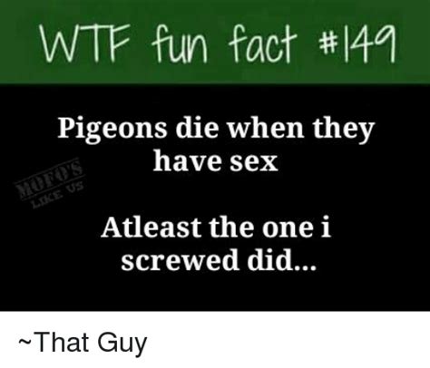 Wtf Fun Fact Th Lita Pigeons Die When They Have Sex Atleast The One I