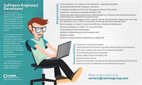 Software Engineer / Developer