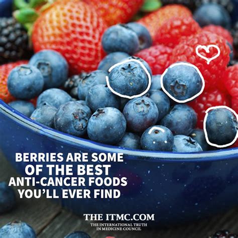 Berries Are Some Of The Best Anti Cancer Foods Youll Ever Find Itmc
