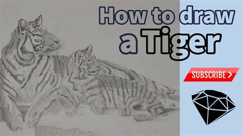 How To Draw A Tiger YouTube