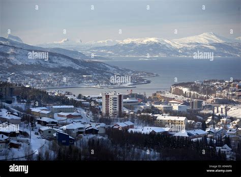 Winter Narvik Lapland Norway Stock Photo 12246483 Alamy