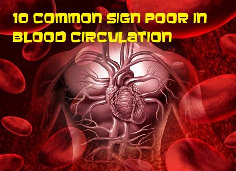 Poor Blood Circulation Sign Show Akufisioblogspot