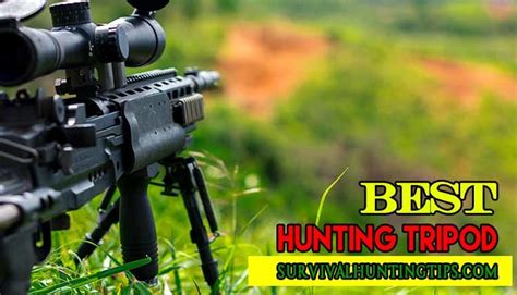 Best Hunting Tripod How To Choose The Best One