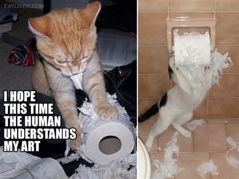 Cats Vs Toilet Paper The Eternal Battle