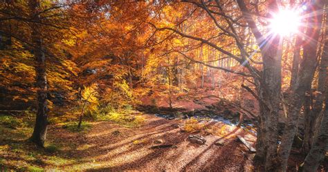 6 Fabulous Fall Getaways In Eastern Canada Everything Zoomer