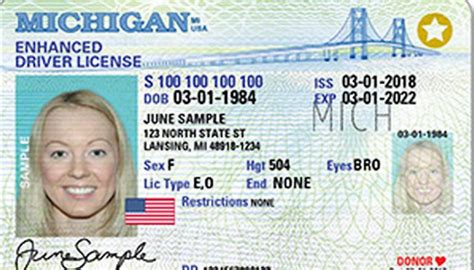 Michigan Drivers Licenses Could Have Gender Neutral Option Tennessee