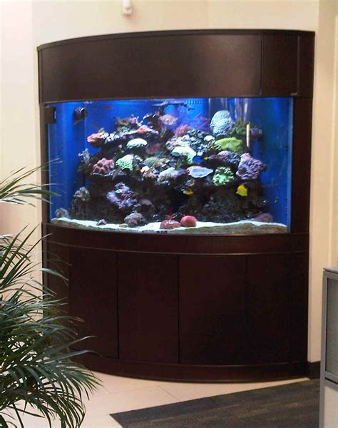 Cheap Fish Tanks Fish Tank For Sale Saltwater Fish Tanks Tropical