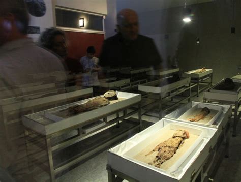 These mummies are at the museo arqueológico y antropológico de san miguel de azapa in northern chile. Preparan diversas actividades para celebrar el mes de la ...