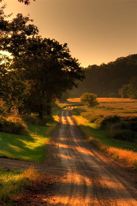 Free Country Road On Summer Evening Stock Photo