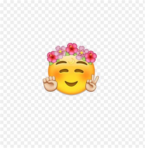 Emoji With Flower Crown Copy And Paste Best Flower Site