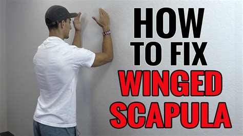 Exercises You Can Do To Fix Winged Scapula Youtube