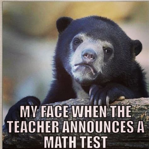 45 Humorous Math Memes We Can All Relate To