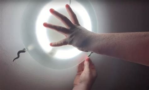 Diy How To Change A Circular Light Bulb Ceiling Overhead Light 22w