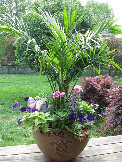 Love The Palm Large Container Garden Container Gardens