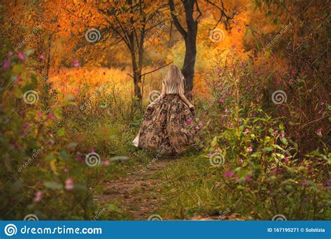 秋季林中美女 库存图片 图片 包括有 有选择性 照亮 户外 妇女 本质 精神 年轻 白种人