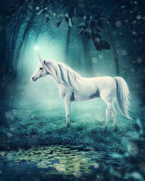 Unicorn — All Creatures Animal Clinic
