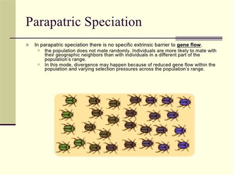 Models Of Speciation