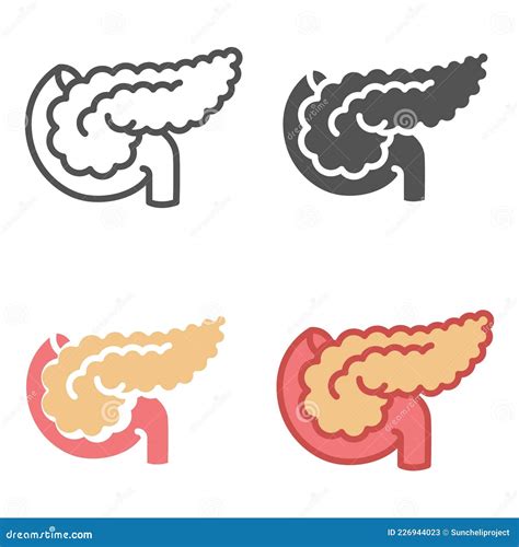 Part of Digestive System, Large Gland in Stomach. Outline. Pancreas