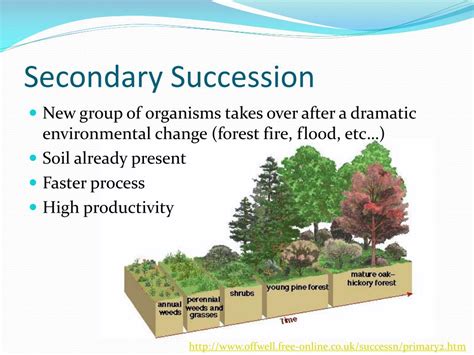 Ppt Ib Biology Powerpoint Presentation Free Download Id5383507