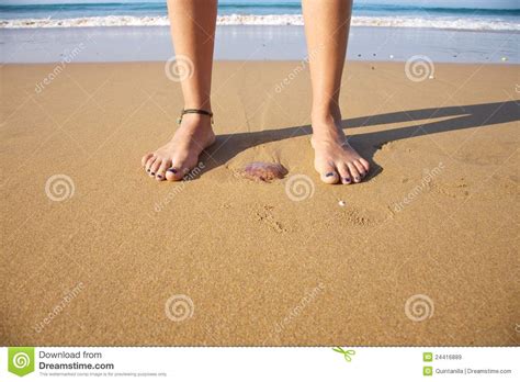 Medusa Between Feet Stock Image Image Of Jelly Foot 24416889