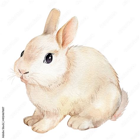 Cute Watercolor Bunny Beautiful Rabbit Hand Drawing Illustration