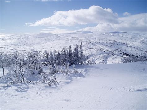 Winter In The Nordic Countries Travel Guide At Wikivoyage Skabma