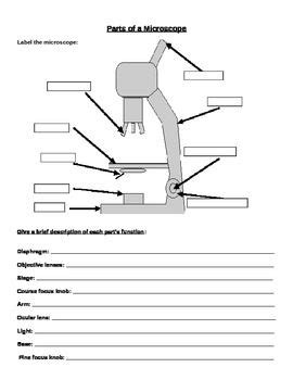 Microscope Labeling And Magnification Worksheet Magnification Biology Lesson Plans Life