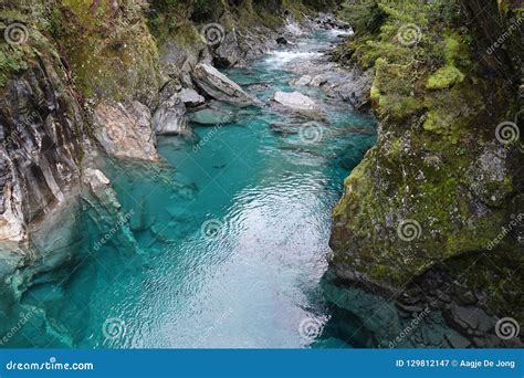 Makarora River S Blue Pools On Haast Pass New Zealand Stock Image