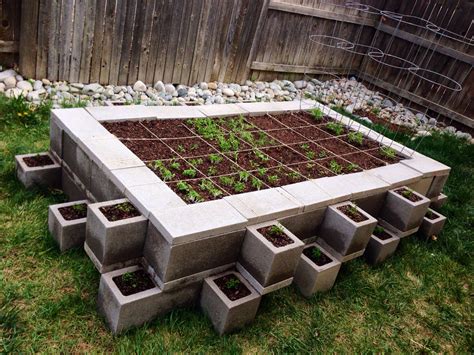 My New Cinder Block Raised Vegetable Garden Square Foot Gardening Grew