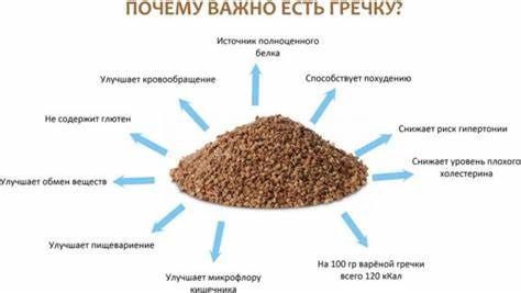 Похудеть гречка капуста