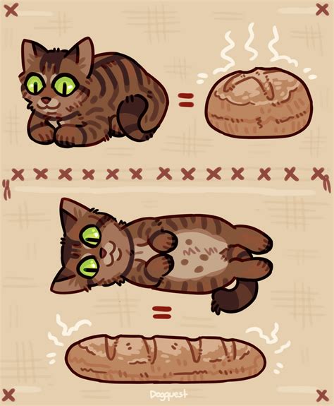Pure Bread Cat By Dogquest On Deviantart