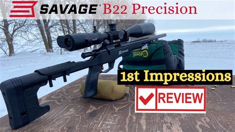 Savage B22 Precision Rifle First Impressions And Ammo Testing Youtube