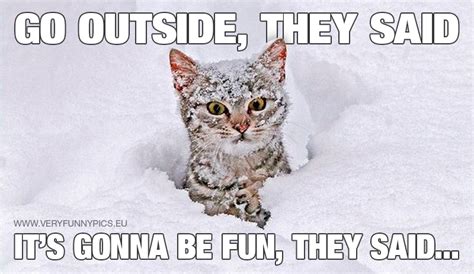The Snow Isnt Appreciated By Everyone Very Funny Pics