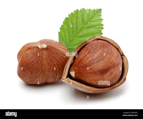 Group Of Hazelnuts With Green Leaf Isolated On White Background Stock