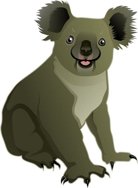 Vecrtor Koala Png Clipart Png Mart