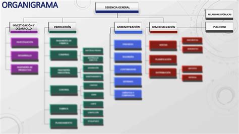 Solution Organigrama De Una Empresa Deportiva Studypool Sexiezpicz Web Porn